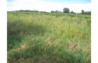 Property photo 50 - 110+/- Acres offered in 4 Tillable Tracts